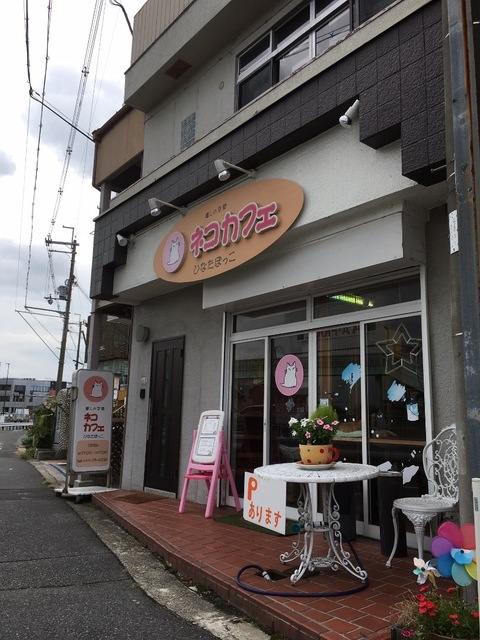 0B52C2F8-1E04-4AC8-A71C-8DB766015BE7.jpeg
